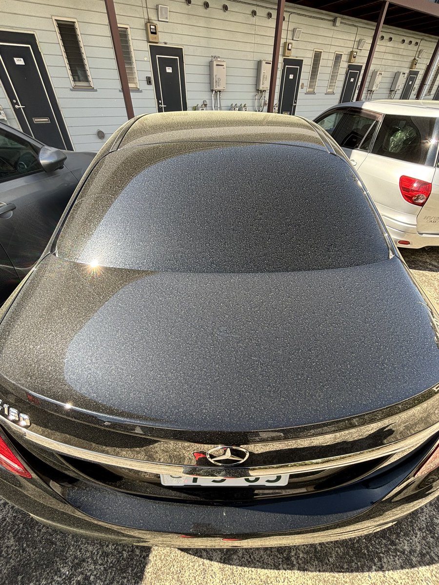 ふぉる tweet media