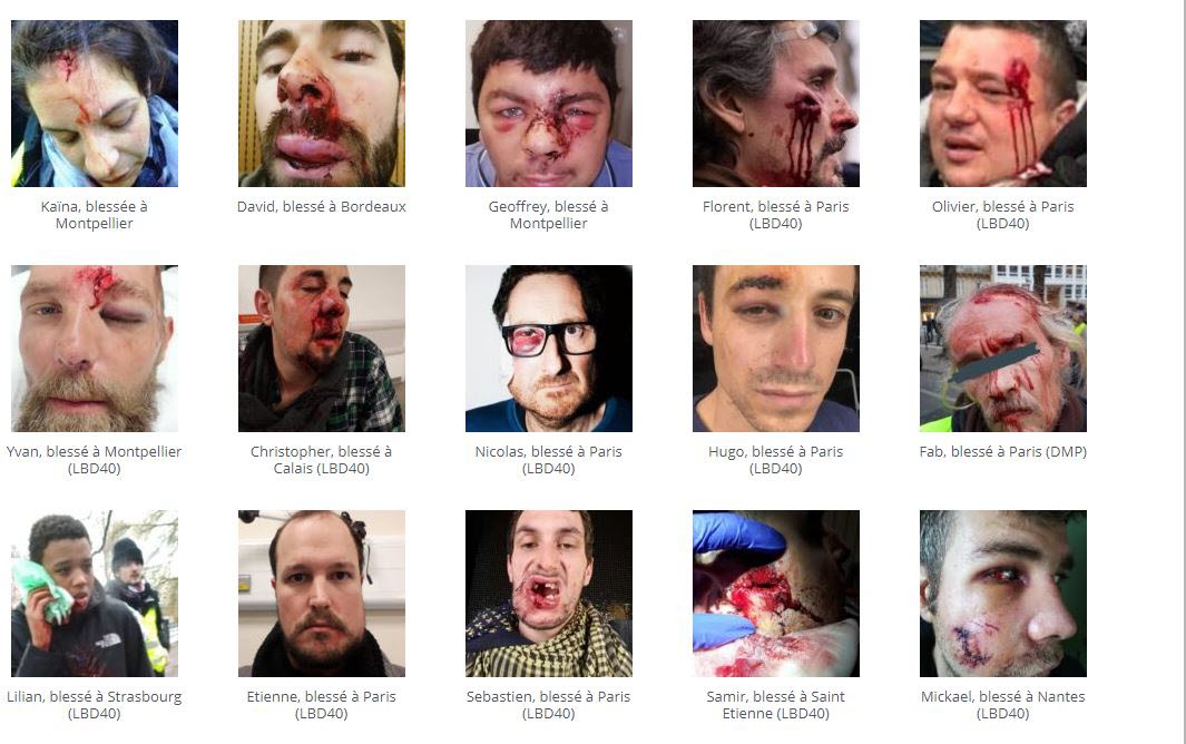 The Whole tweet media