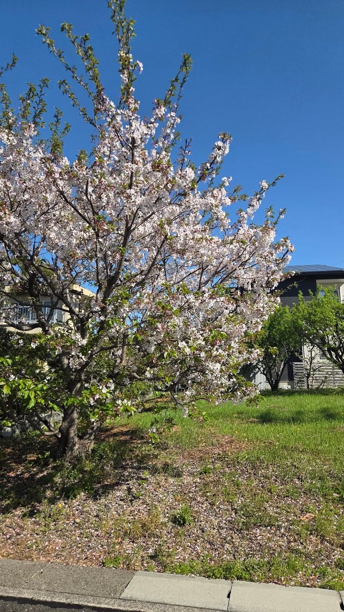 まさくん ʚ❥̆̈ tweet media