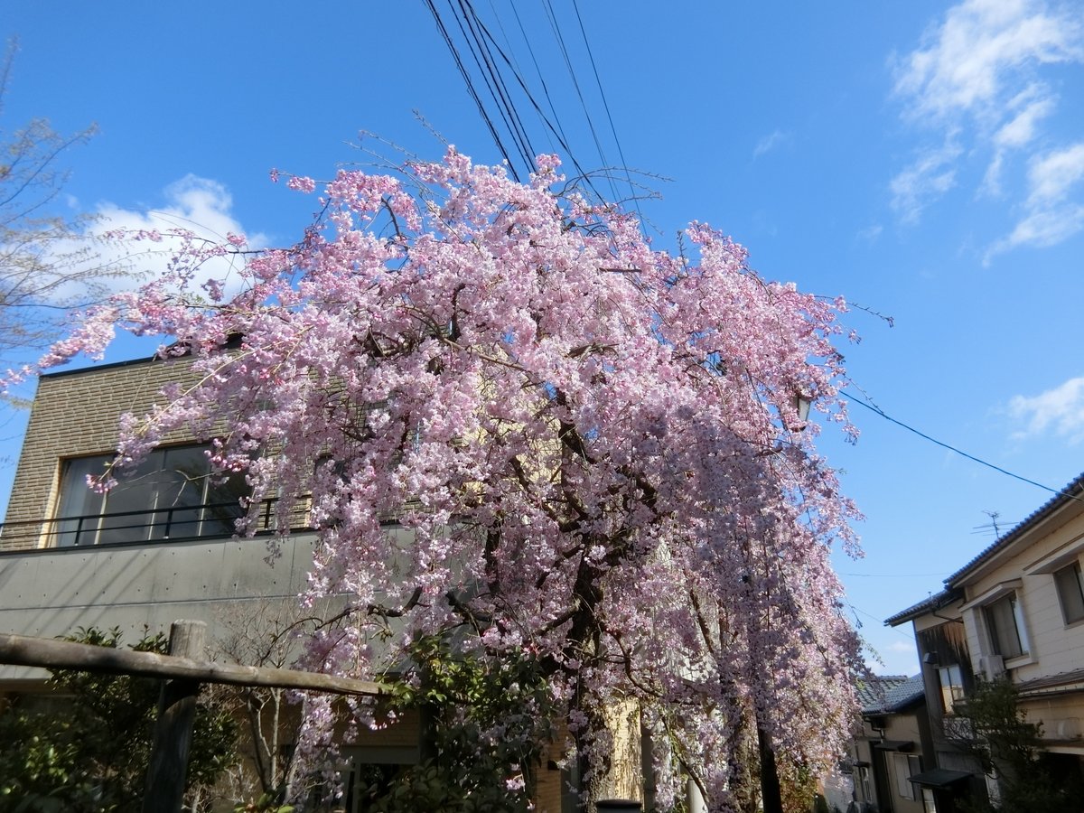 橘曙覧記念文学館 tweet media