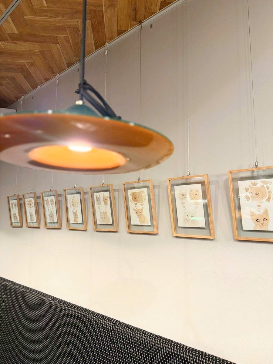 【個展開催のお知らせ】🐈
大井町のoimachi café chiiさん（@oimachi_cafe_chii）にて、再び個展を開催します！
🎨タイトル：「Nyan Rouge（ニャンルージュ）」
📅会期：2026/4/28(火)〜5/20(水)

新緑の季節、猫たちに会いに来てください🌱
（写真は前回の様子です）
#しゅんたま #個展