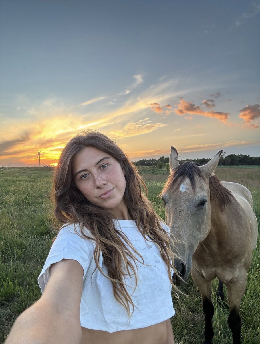 juss_dhani's tweet image. 🐴☀️