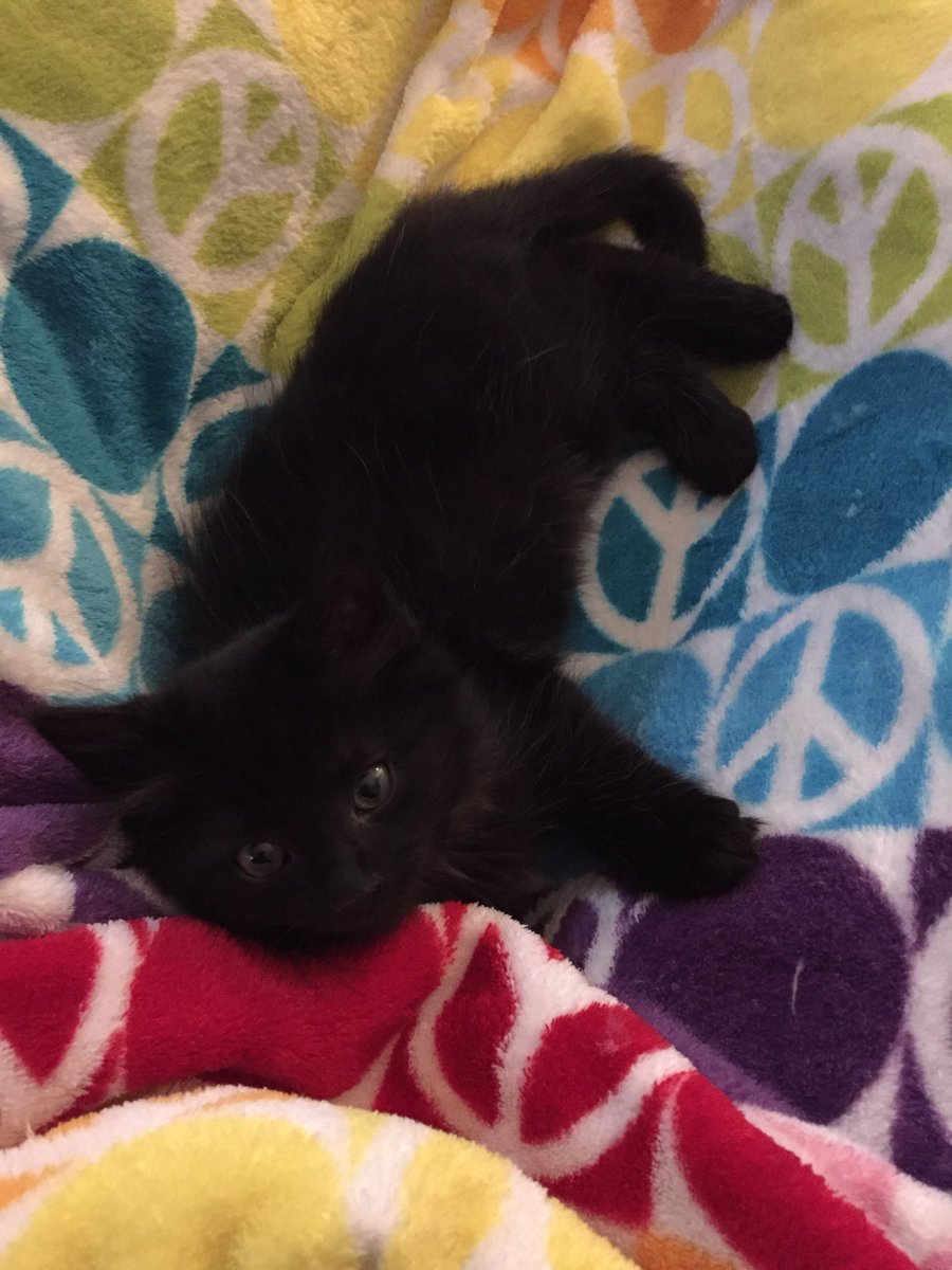 palaces of Laura’s mind 💡 tweet media