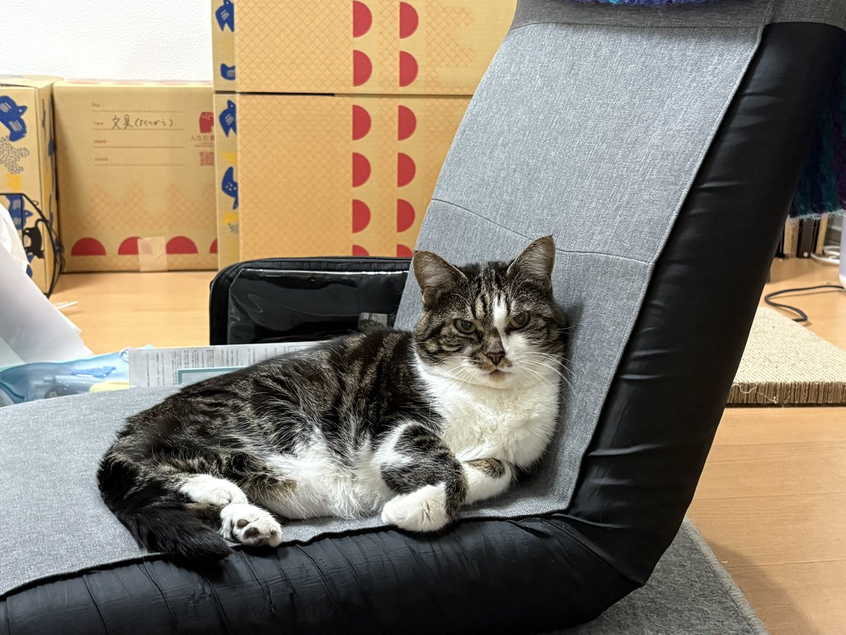 グリ🐈🐑 tweet media