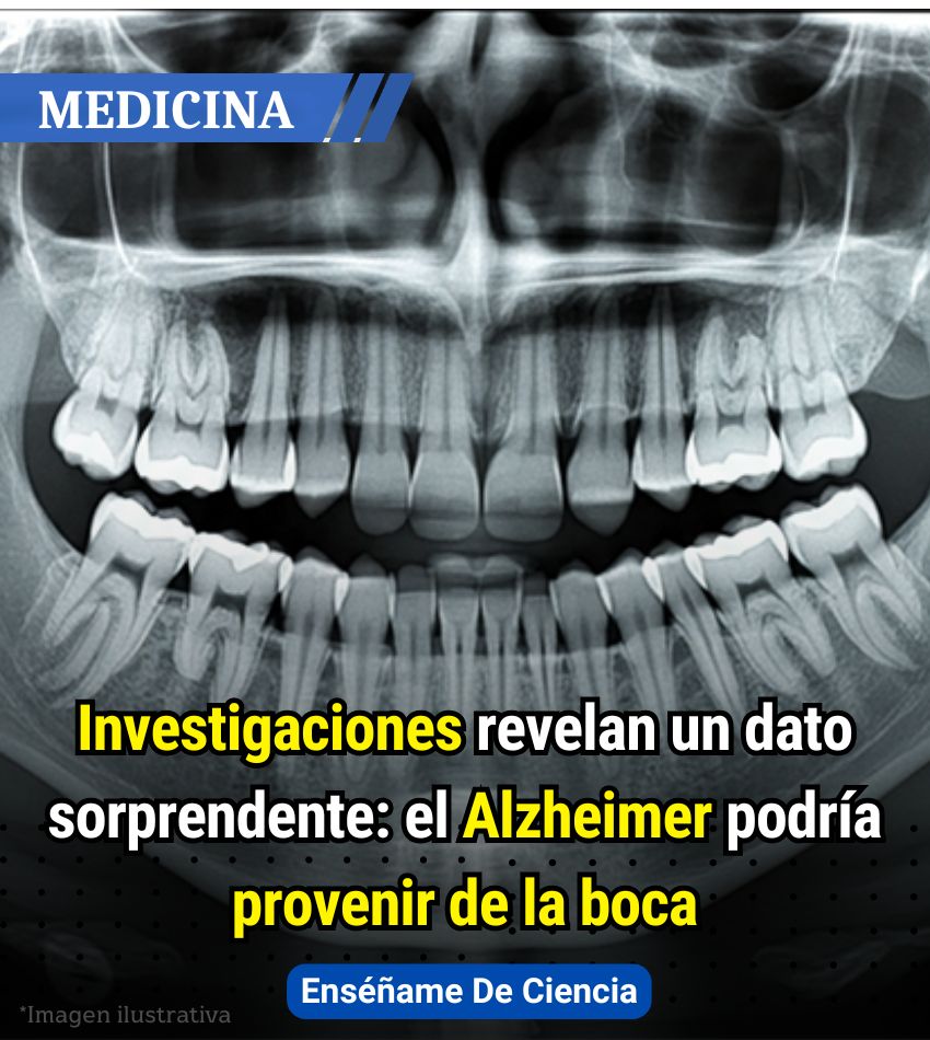 Enséñame de Ciencia tweet media