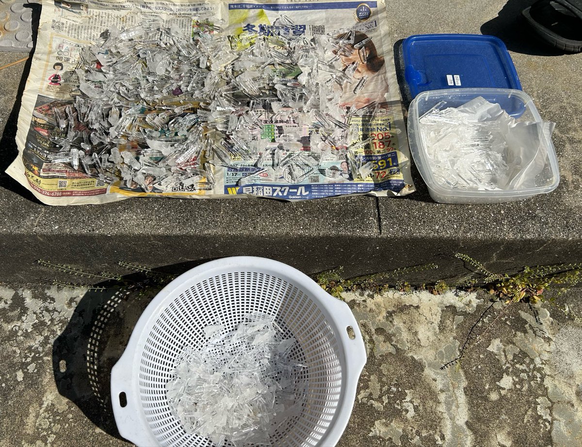 【自然遊撃隊】こうへい⛏️ tweet media