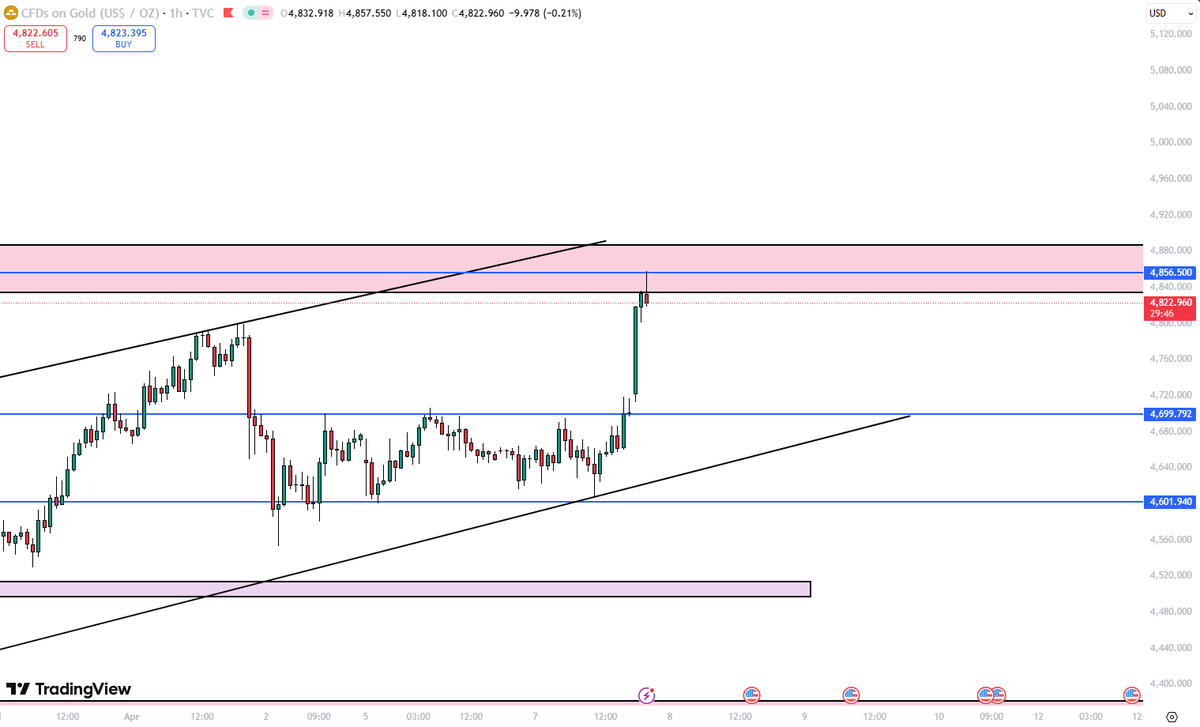 MSA | Trader tweet media