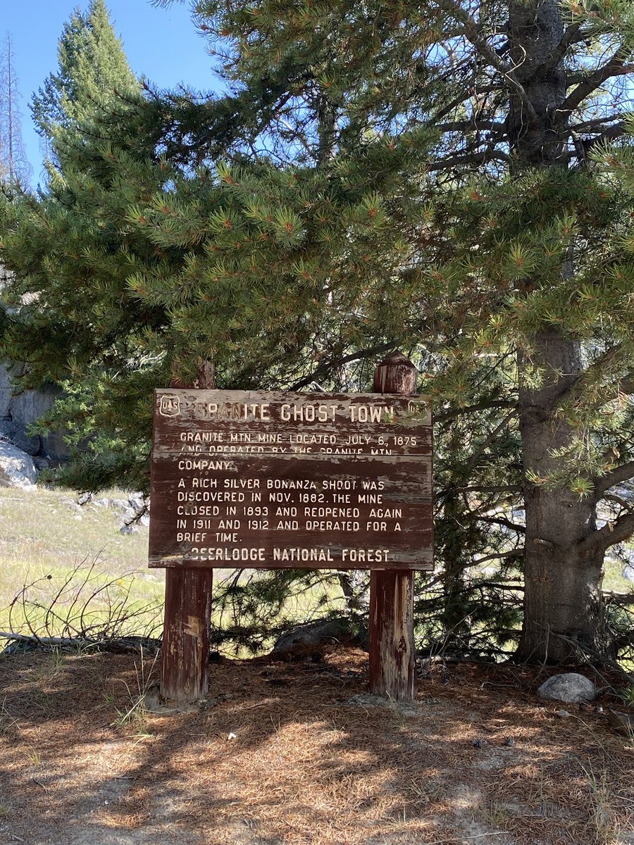 Random Public Park 🏞️ tweet media