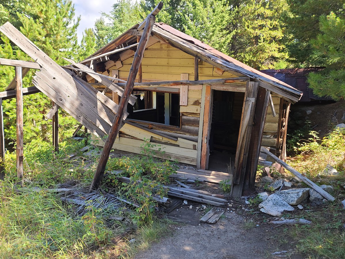 Random Public Park 🏞️ tweet media