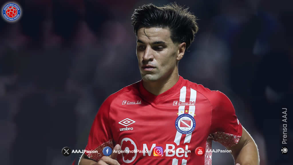 Momentos del bicho tweet media