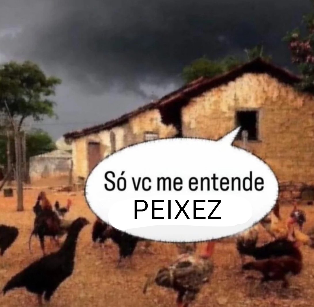 🌸Helena🌸#VaiVerOsPeixes #IndSMP tweet media