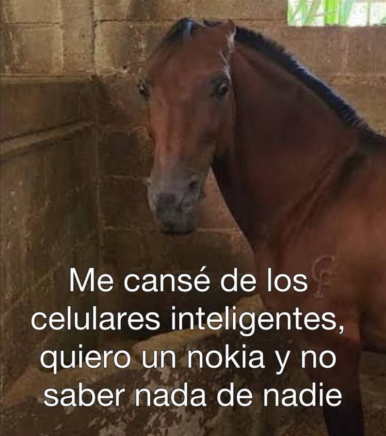 Salvador Iglesias Jr (@javisness) on Twitter photo 