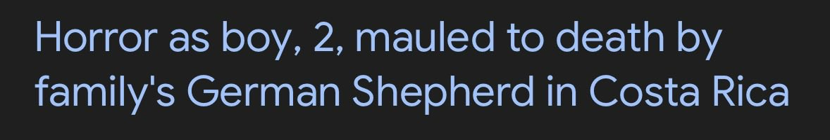 Comrade Misty is Putin’s Buddy tweet media