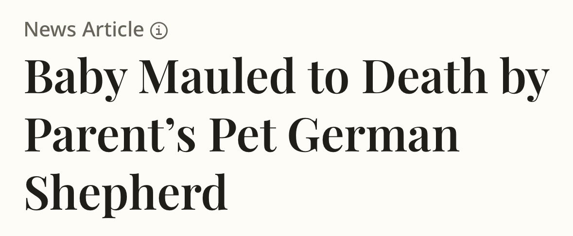 Comrade Misty is Putin’s Buddy tweet media