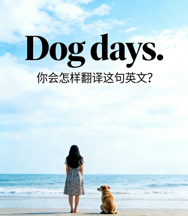 一帧人间 tweet media