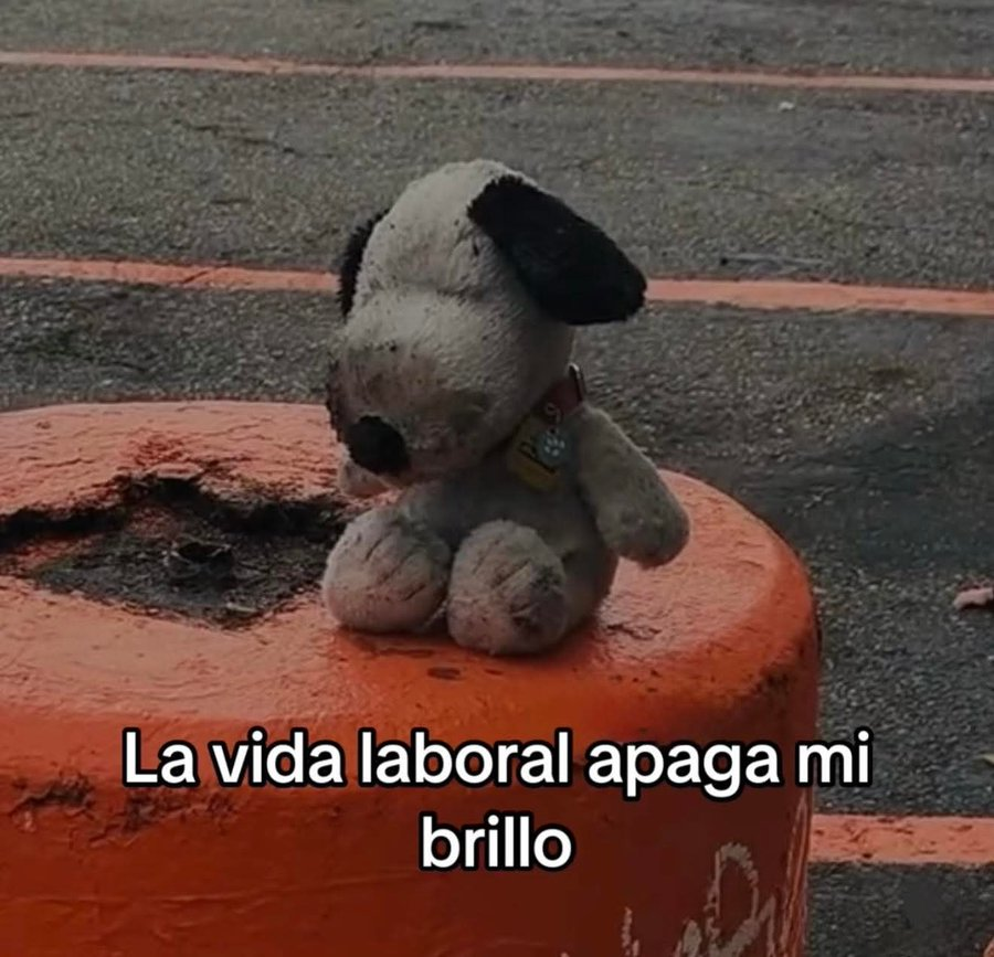 Salvador Iglesias Jr (@javisness) on Twitter photo 