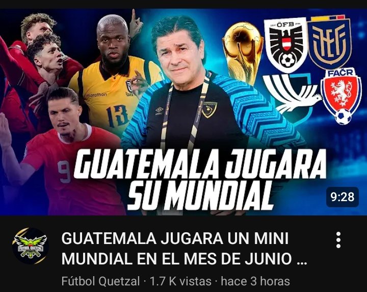 Gato Bingus (Factos Bingus) tweet media