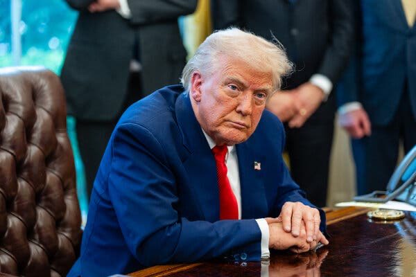 No Lie with Brian Tyler Cohen tweet media