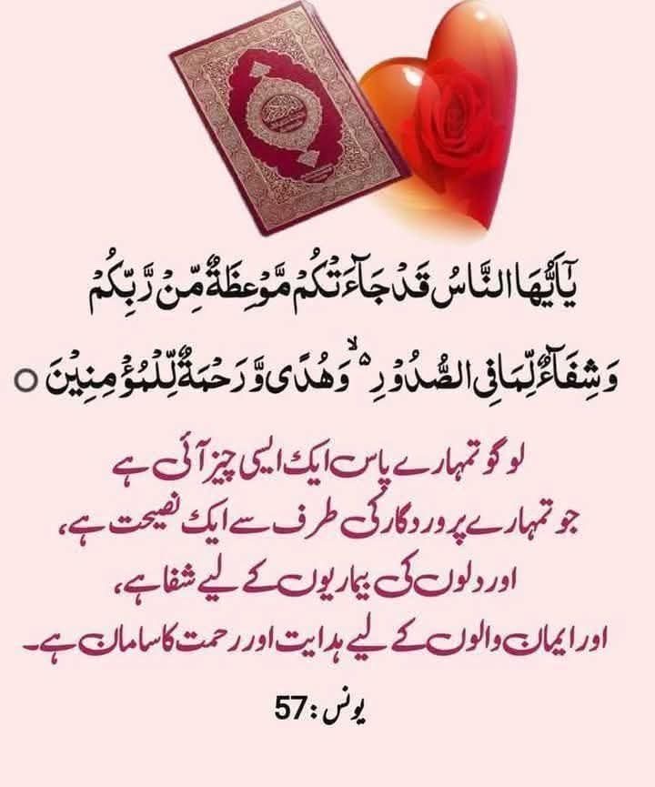 🦋✨ѕнмαмα✨🦋 tweet media