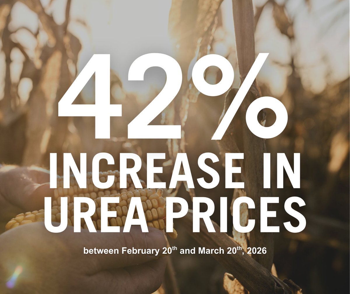 National Corn (NCGA) tweet media