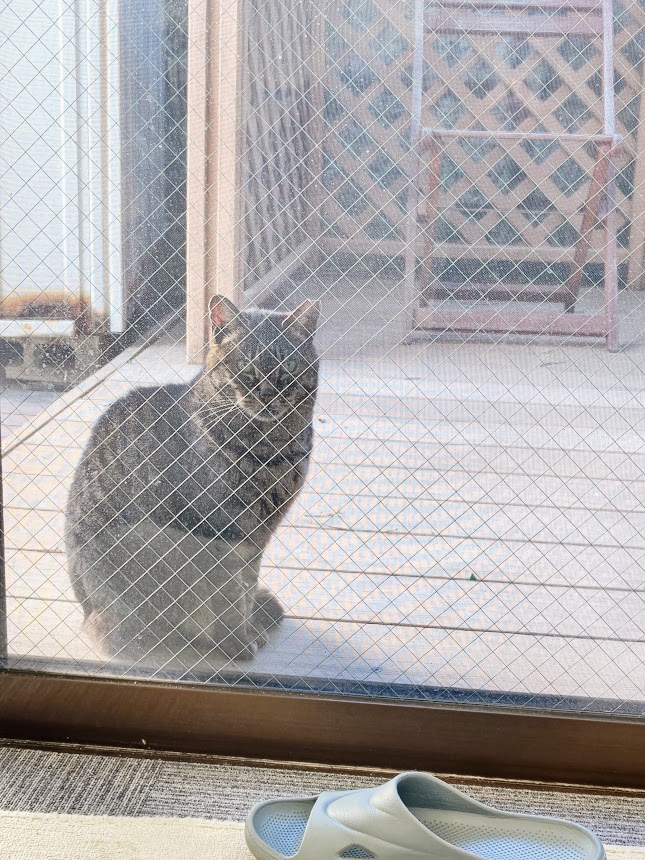 BAYLOOP ベイループ羽田 (釣具/イベント/展示/フリマ) NT海洋事業部 羽田拠点 tweet media