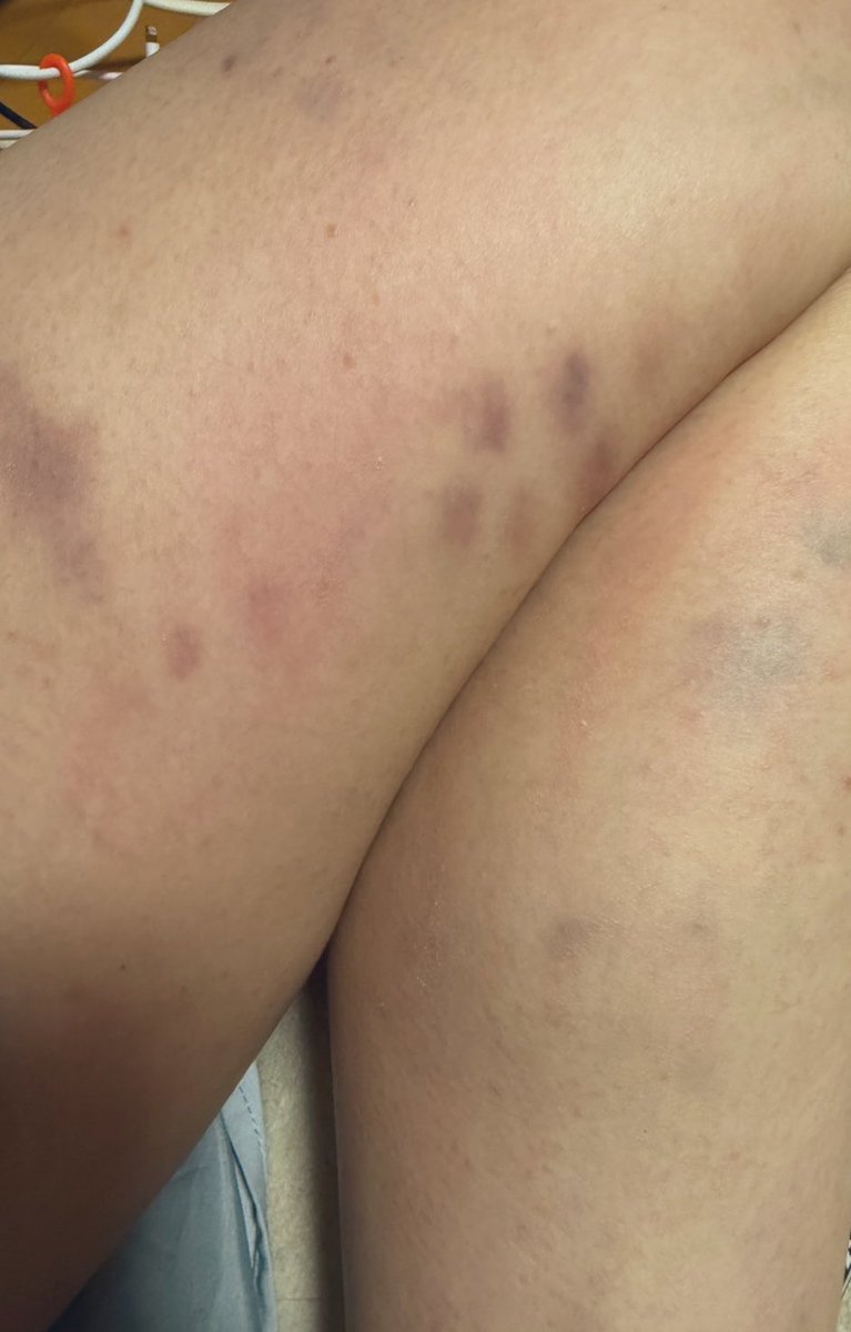 今年こそ痩せるにゃる子2026 tweet media