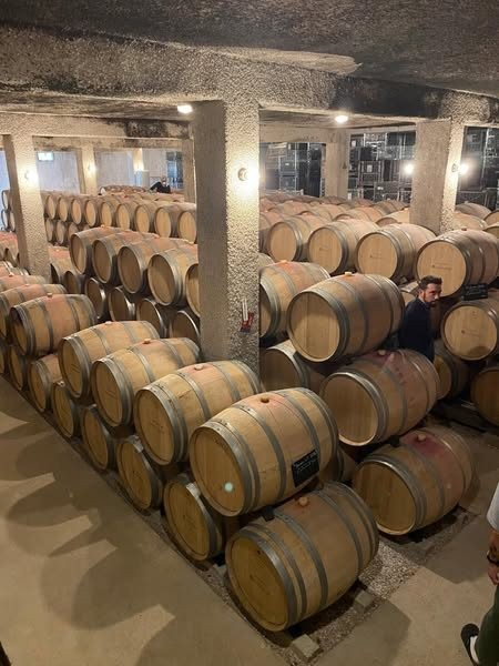 m_shmeer's tweet photo. Wandering through the vines of Burgundy 🍇
The sun touches the old stone walls, the breeze whispers through the barrels—everything feels just right. 🍷 https://t.co/Qcz6XVpVfB