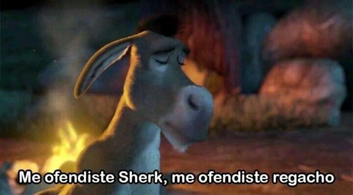 Cony (L)✨ tweet media