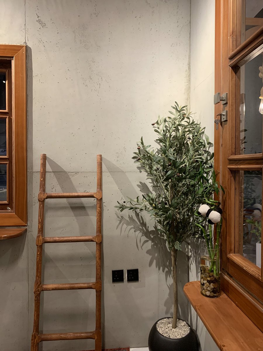 “anoud” tweet media