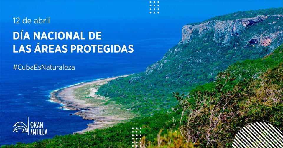 Las áreas protegidas son el pulmón y refugio de nuestra biodiversidad. Esenciales para la vida y el equilibrio del planeta. 
Comprometidos con la gestión sostenible de los recursos naturales, con el futuro. 
#ÁreasProtegidas #IngenieríaAmbiental #CuidemosElPlaneta #comunidad