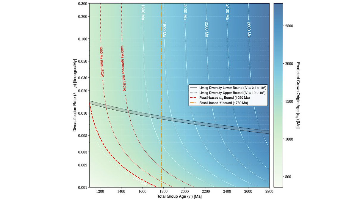 astrobiology's tweet image. Clade Dynamics Support An Early Origin Of Crown Eukaryotes
astrobiology.com/2026/04/clade-… #astrobiology #genomics #evolution