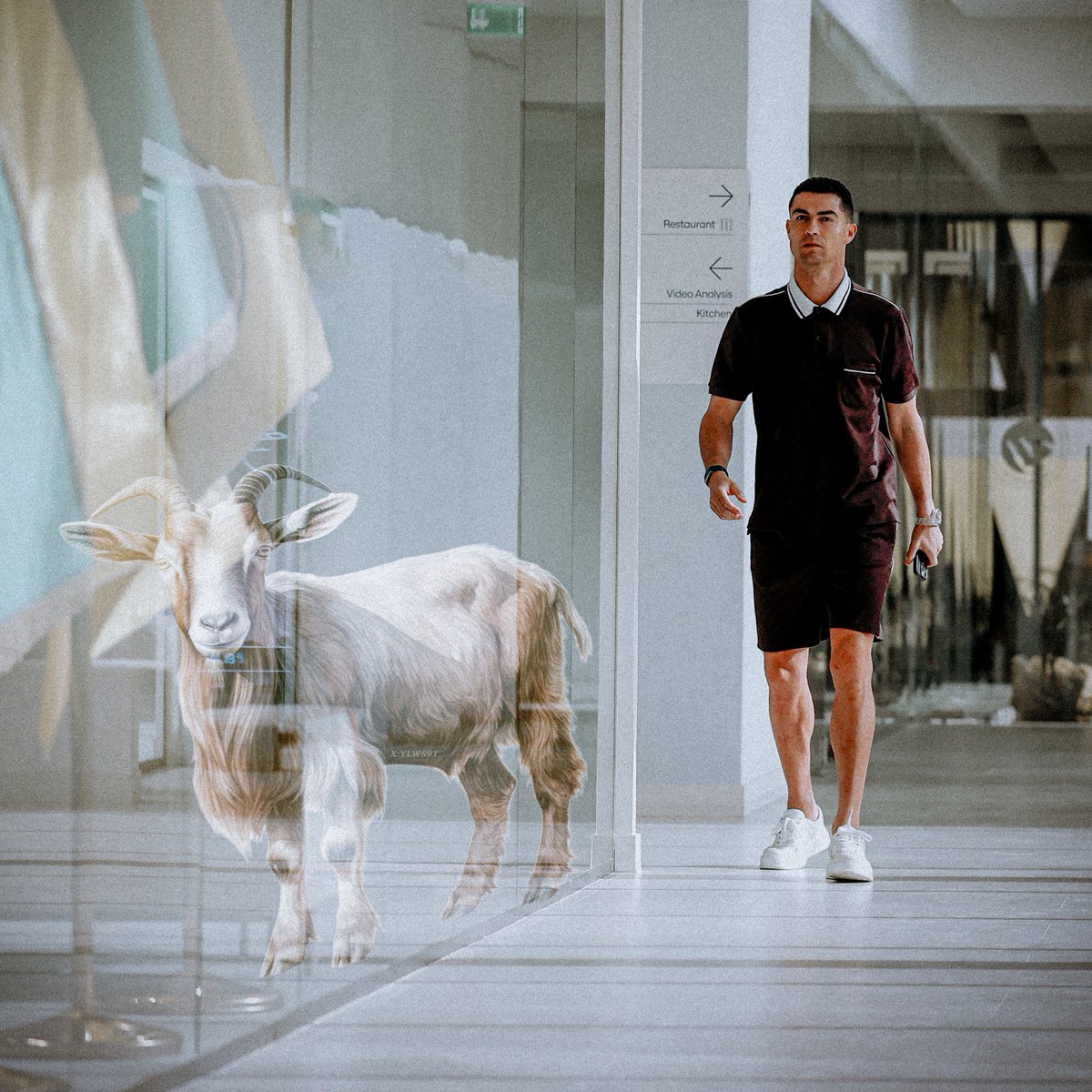 𝙎 𝙏 𝙍 𝙕 tweet media