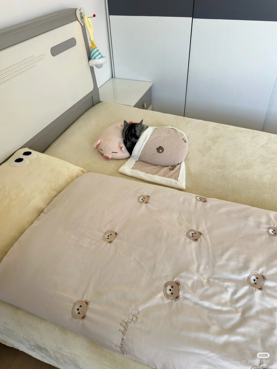 Dailymeow tweet media