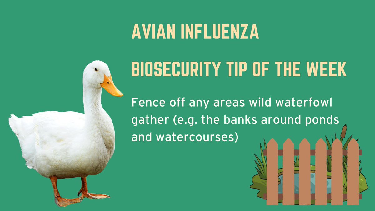 Warrington Trading Standards tweet media