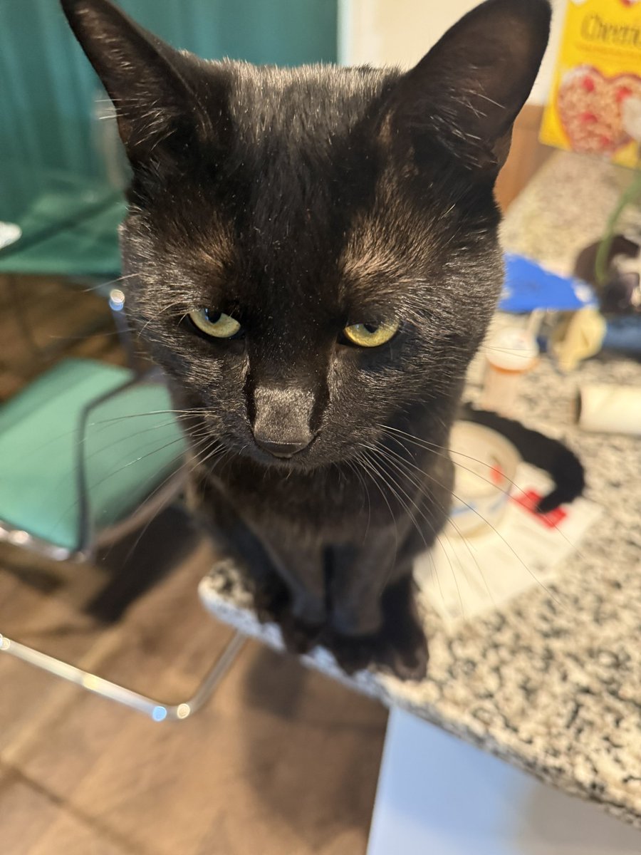 — PHANTOM SPACE tweet media