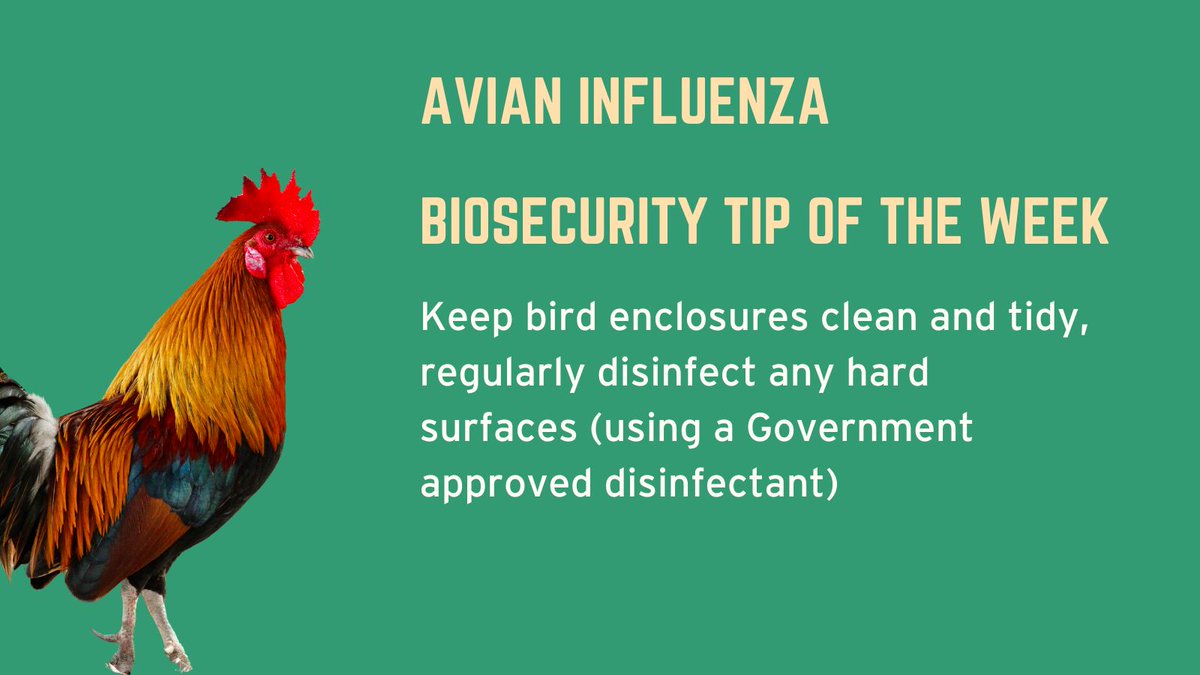 Warrington Trading Standards tweet media