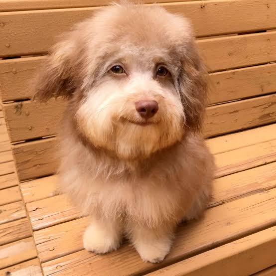 Lava rápido Hot Wheels, Vai encarar? tweet media