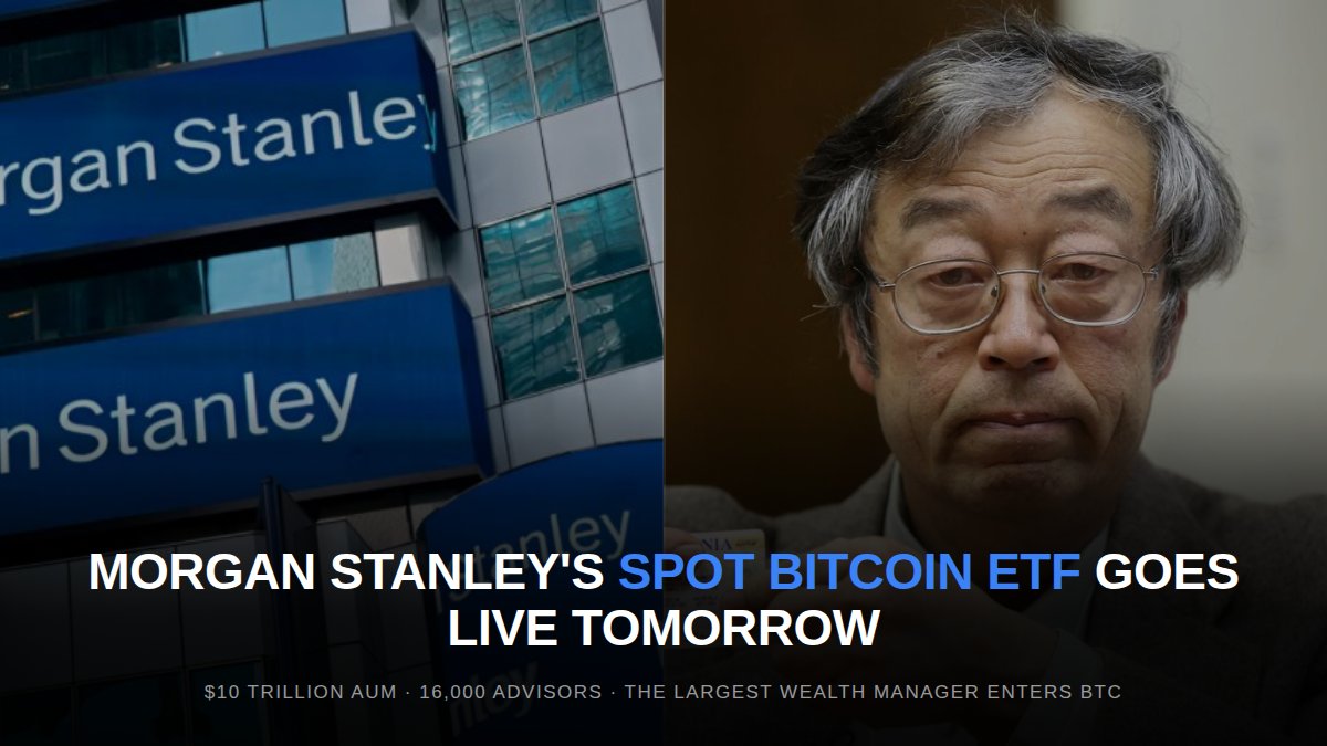 Nicolas Mourot tweet media