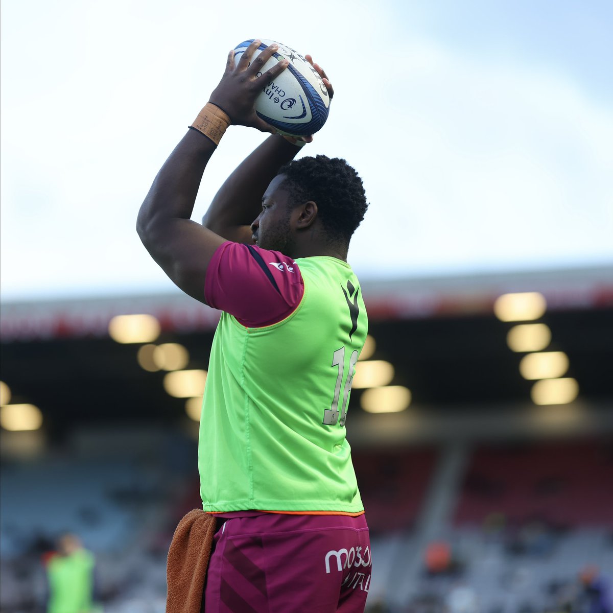 Sale Sharks 🦈 tweet media