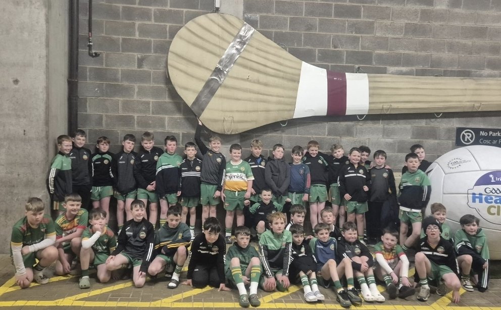 Ballinamere/Durrow GAA, LGFA & Camogie tweet media