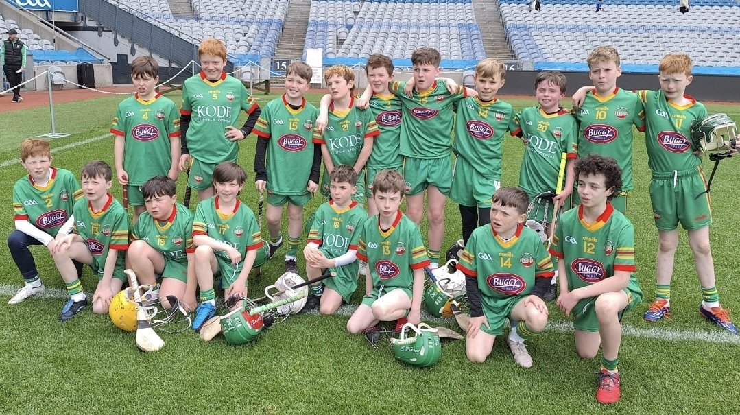 Ballinamere/Durrow GAA, LGFA & Camogie tweet media