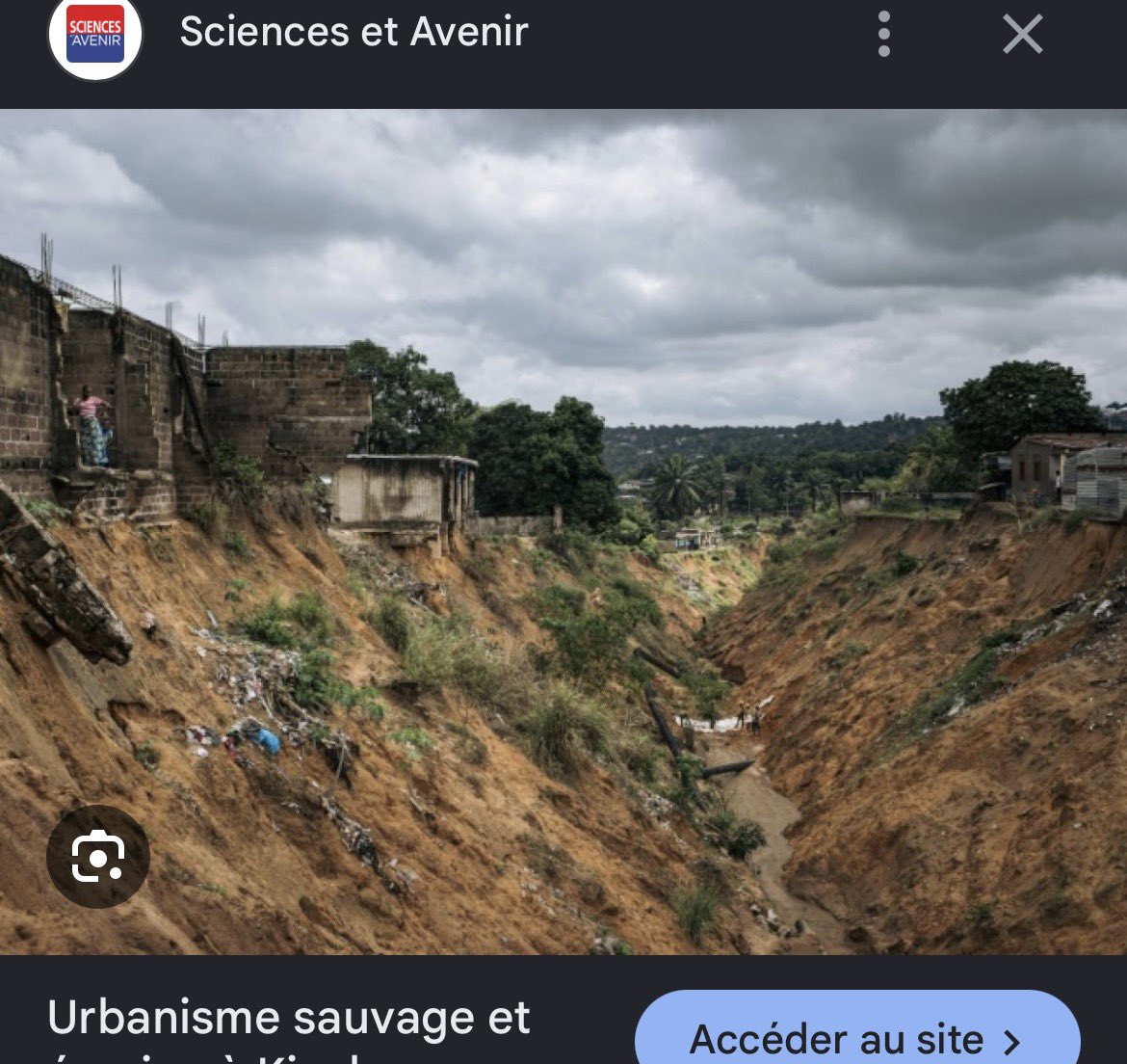 225🇨🇮 tweet media