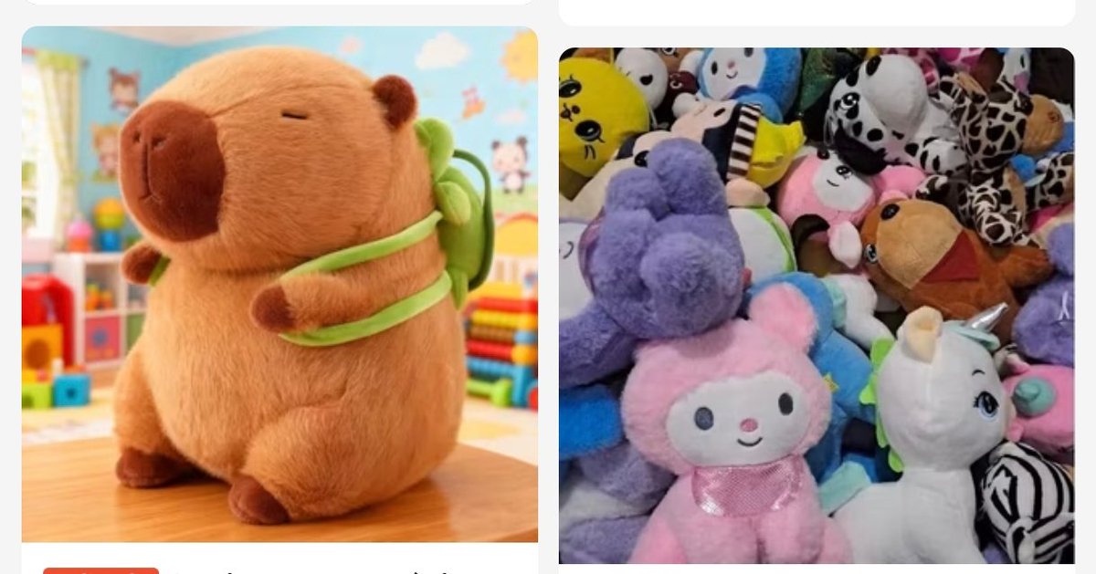 perfil dedicado a gatinhos e peitos tweet media