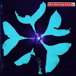 FelizGuapo2 tweet media