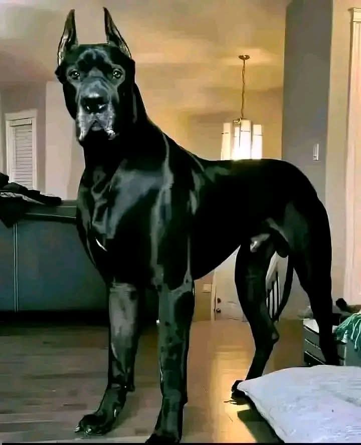 Nimra Shahzadi ❣️ tweet media