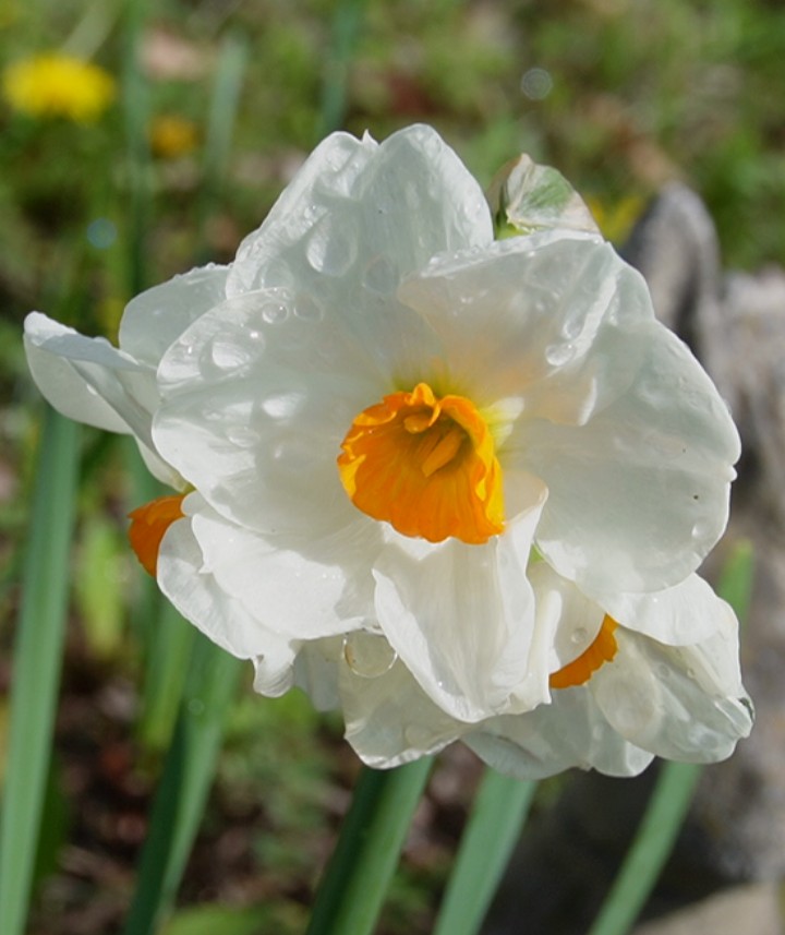 歩美🌸 tweet media