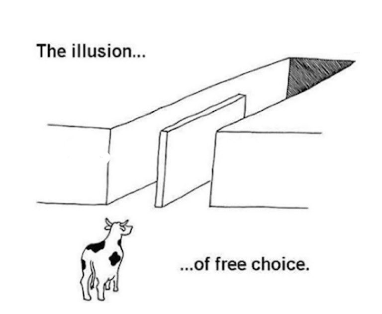 agata is a STAR ⭐️ tweet media