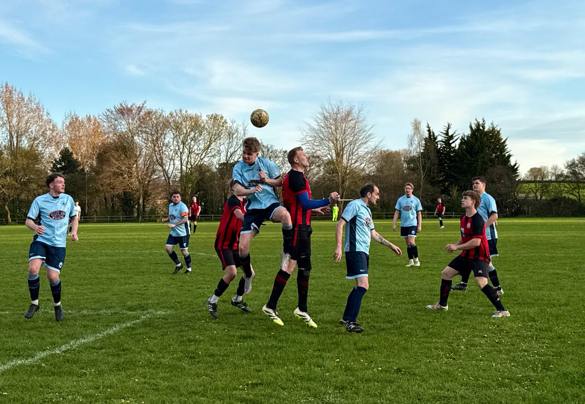 dorsetdom ⭐️⭐️ tweet media