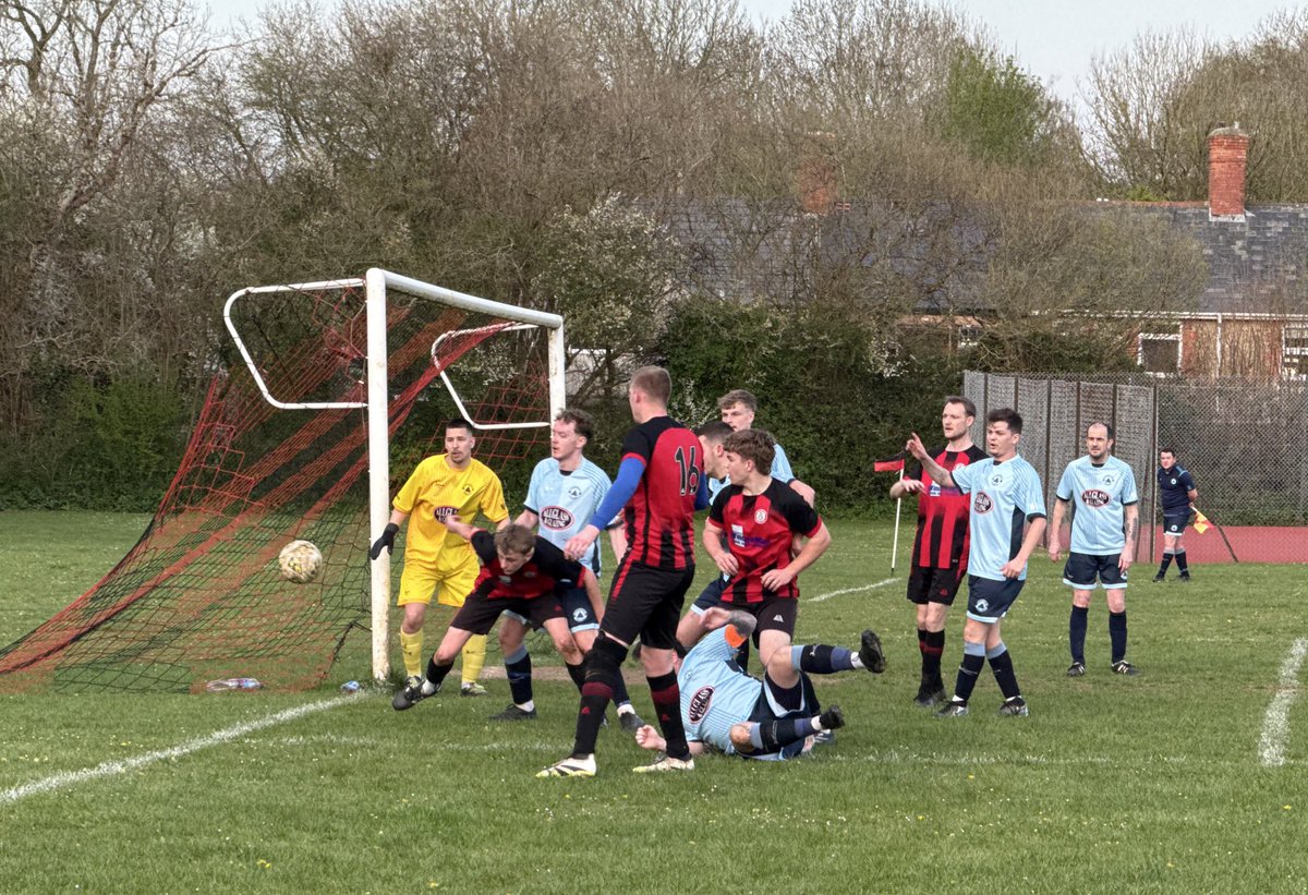 dorsetdom ⭐️⭐️ tweet media