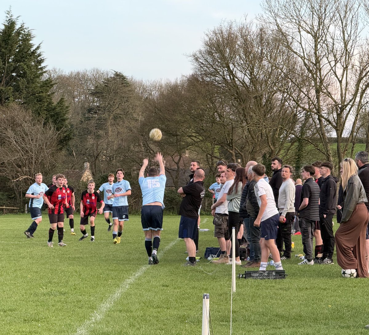 dorsetdom ⭐️⭐️ tweet media